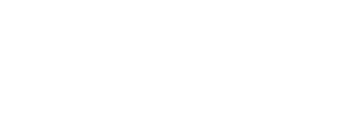 Business Sales Group